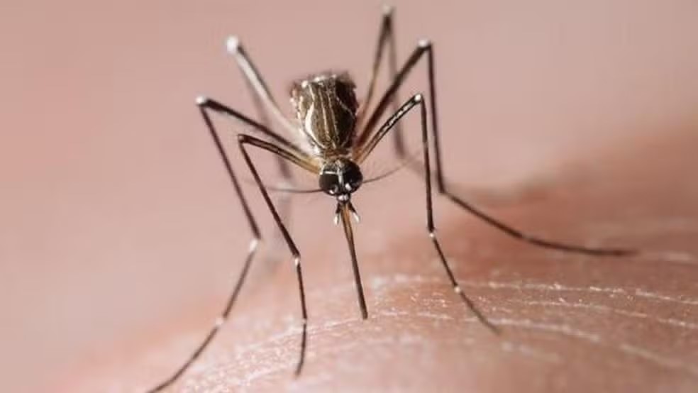 Casos de dengue em MT aumentam 121% em 11 dias e estado registra mais de 4 mil